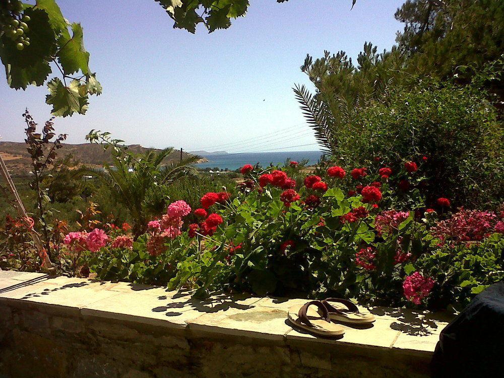 Porto Heli Apartments باليكاسترون المظهر الخارجي الصورة